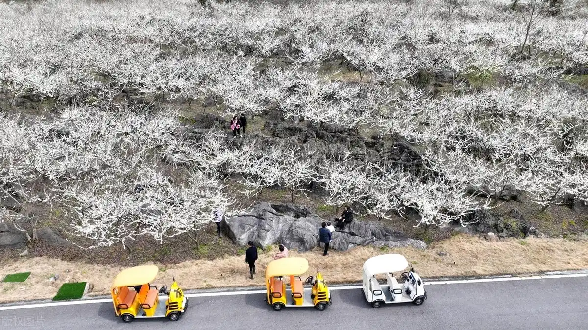 重庆3到4天实用游玩路线推荐！重庆旅游就看这篇！