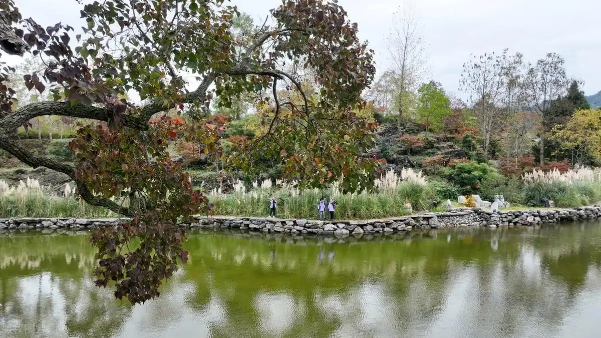 重庆3到4天实用游玩路线推荐！重庆旅游就看这篇！