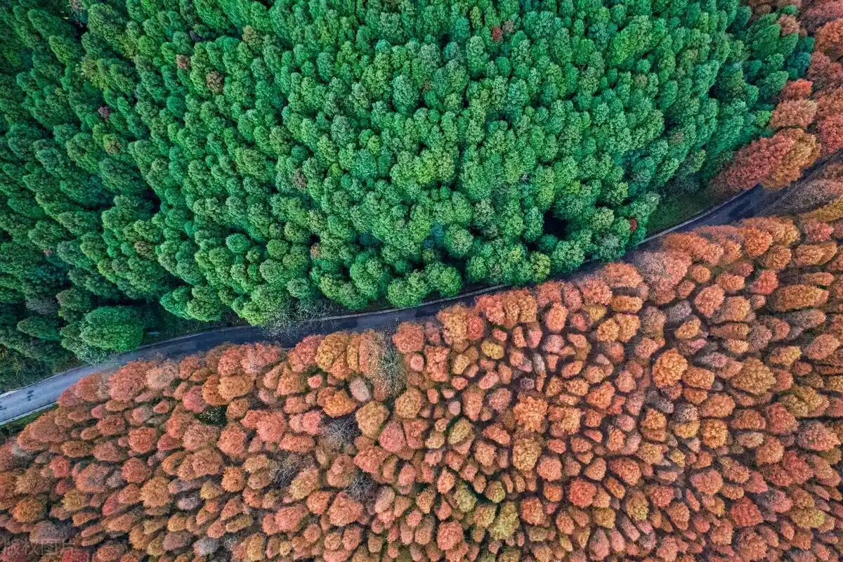 重庆3到4天实用游玩路线推荐！重庆旅游就看这篇！