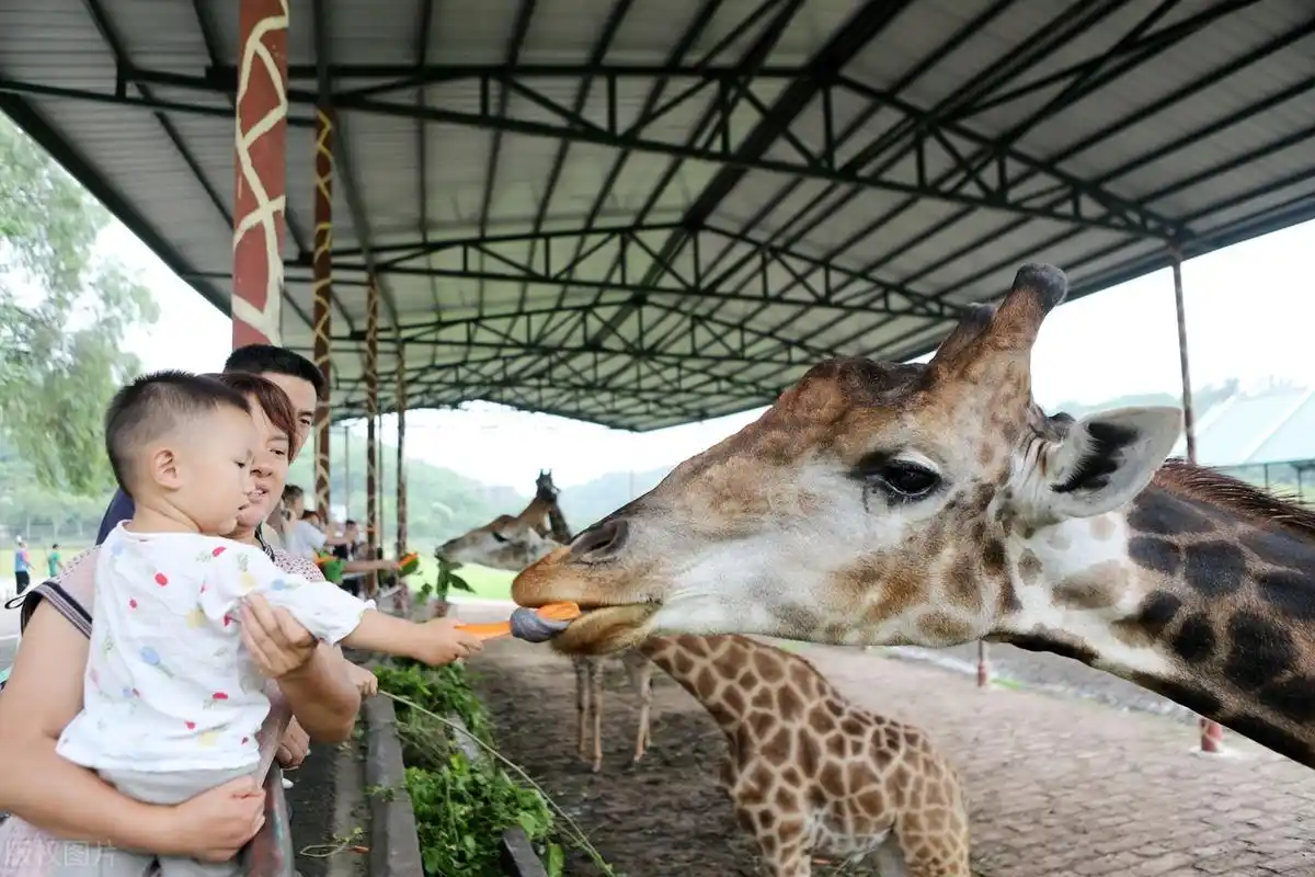 重庆3到4天实用游玩路线推荐！重庆旅游就看这篇！