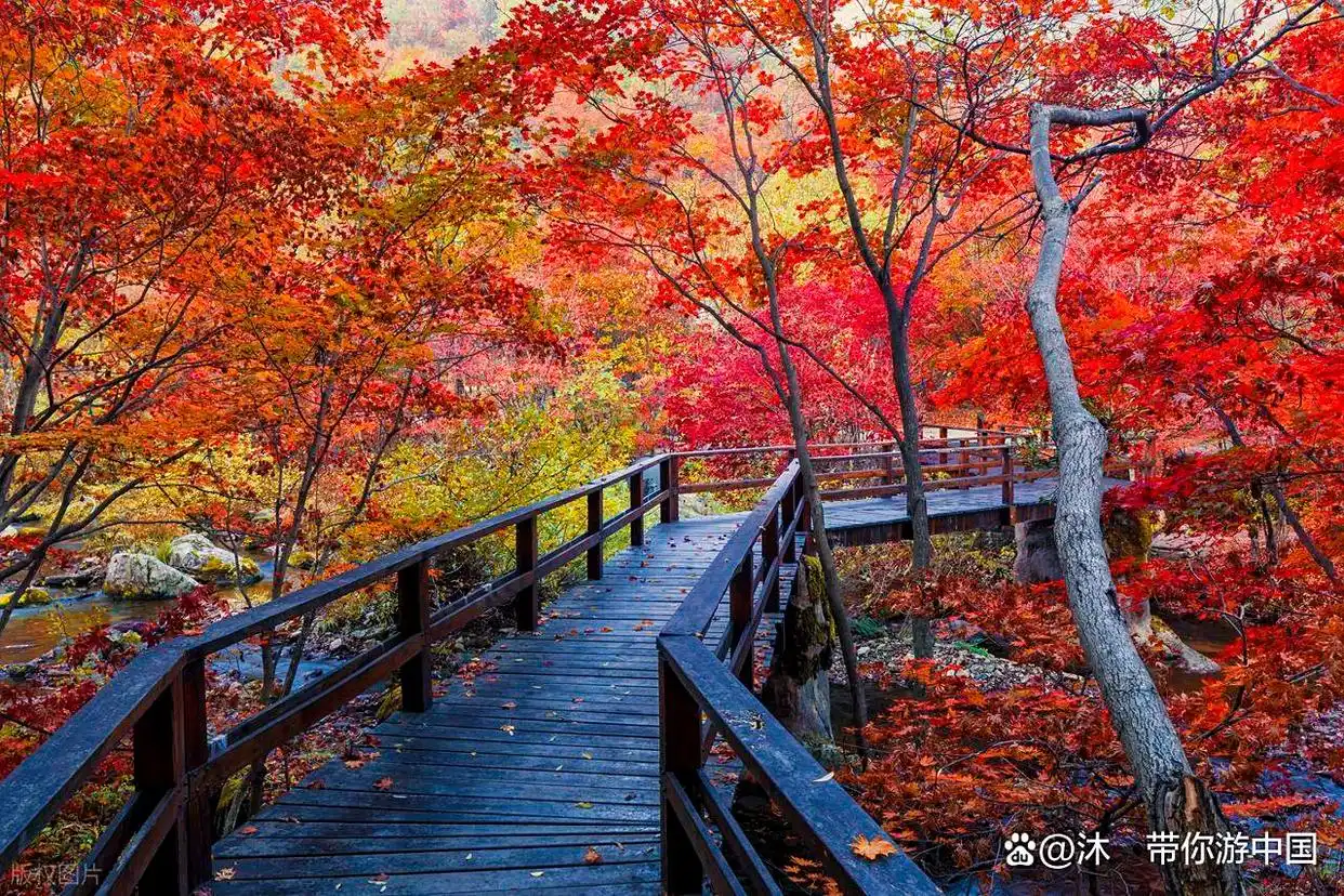 秋日旅行清单！这6个地方藏着最惊艳的秋色，现在规划正当时！