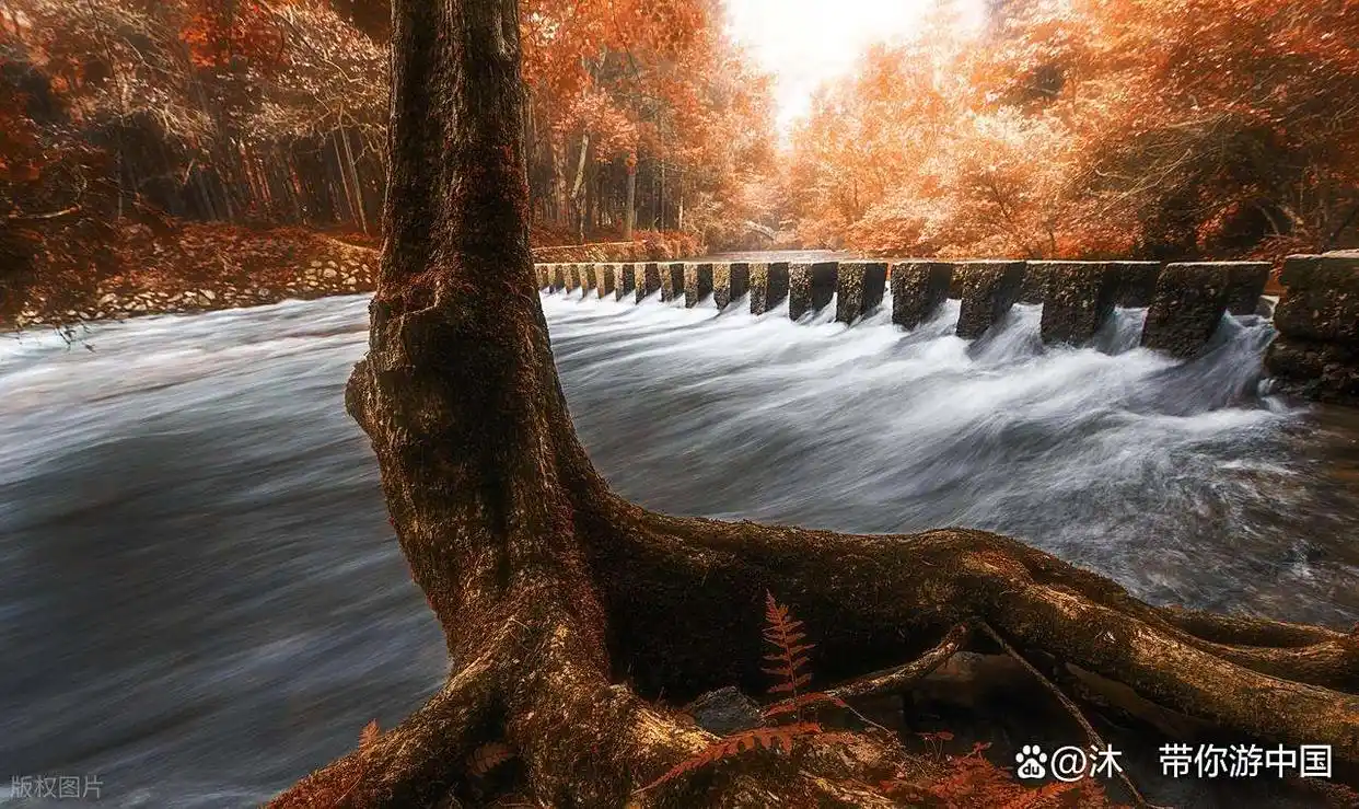 秋日旅行清单！这6个地方藏着最惊艳的秋色，现在规划正当时！