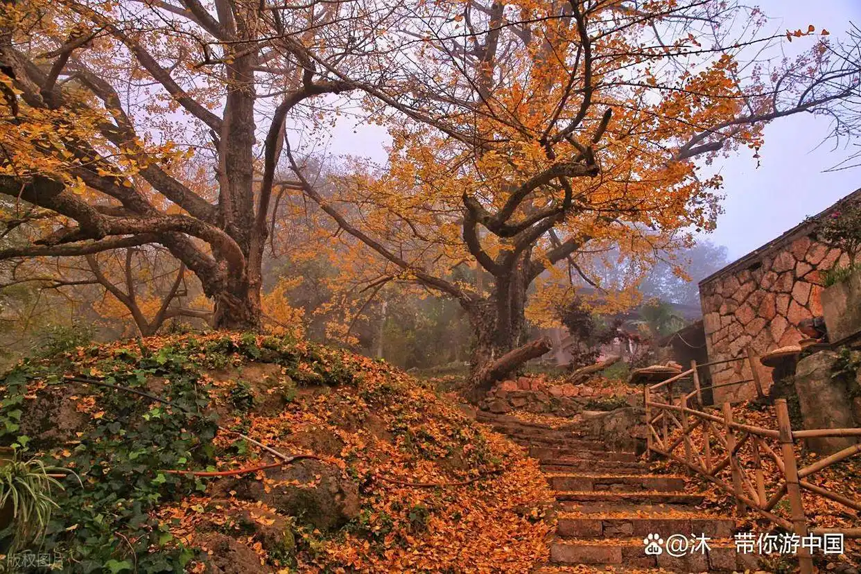 秋日旅行清单！这6个地方藏着最惊艳的秋色，现在规划正当时！