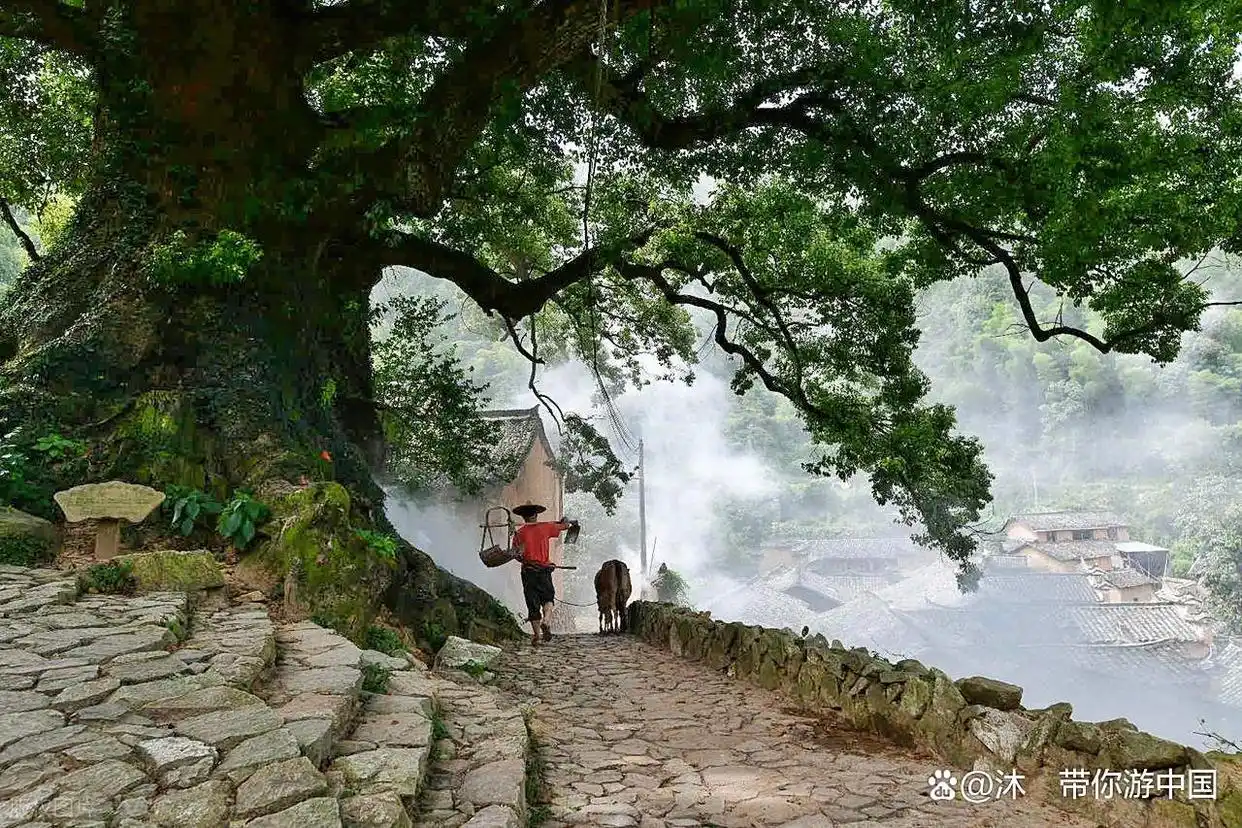 国庆避人潮！这8个清净好去处，景美悠闲花费少，挑一个就走！