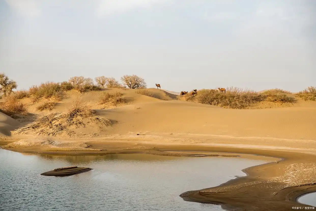 去了一趟腾格里沙漠，真心建议：不要随便去腾格里，除非你知道这