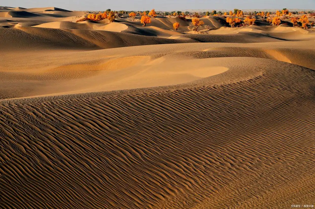 去了一趟腾格里沙漠，真心建议：不要随便去腾格里，除非你知道这