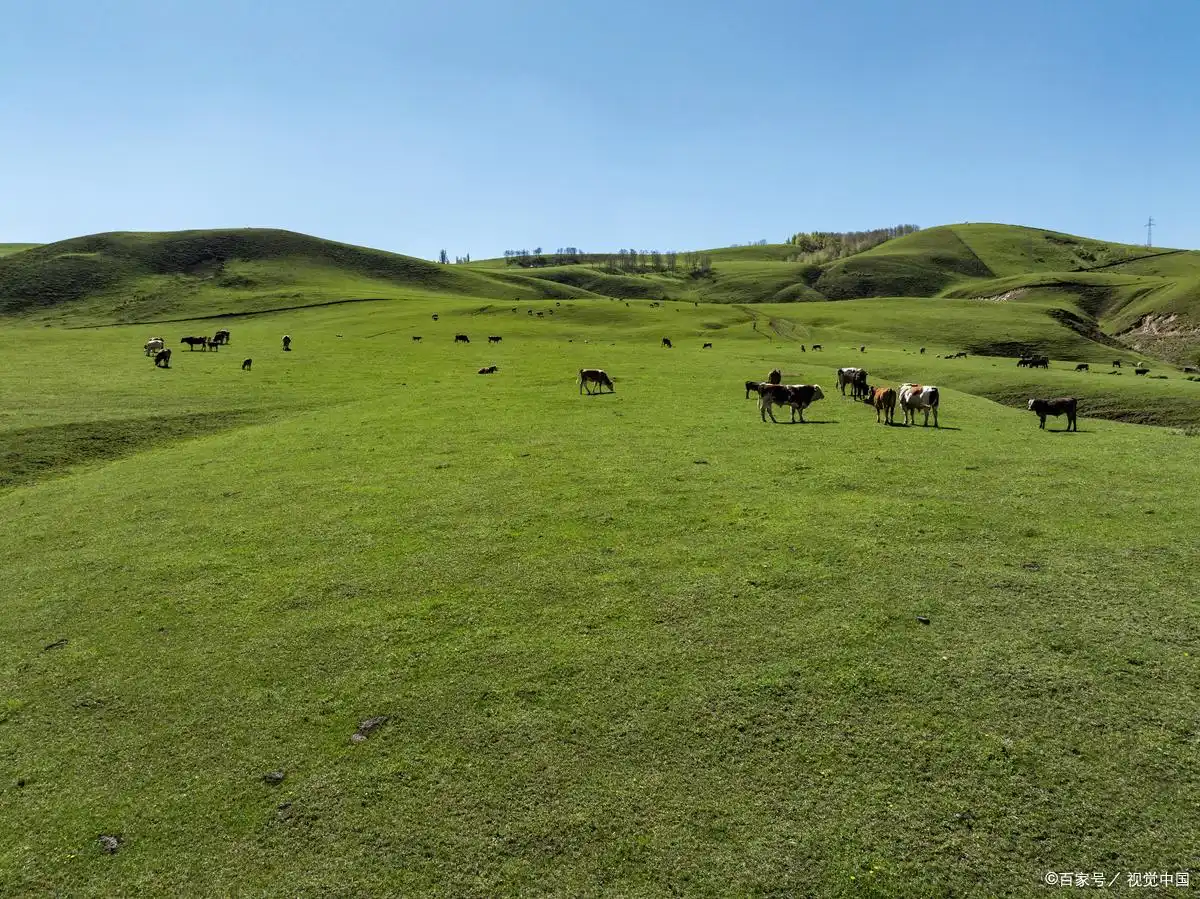 郴州最值得去的 7 个地方，高椅岭第5，东江湖第3，第1名颠覆认知