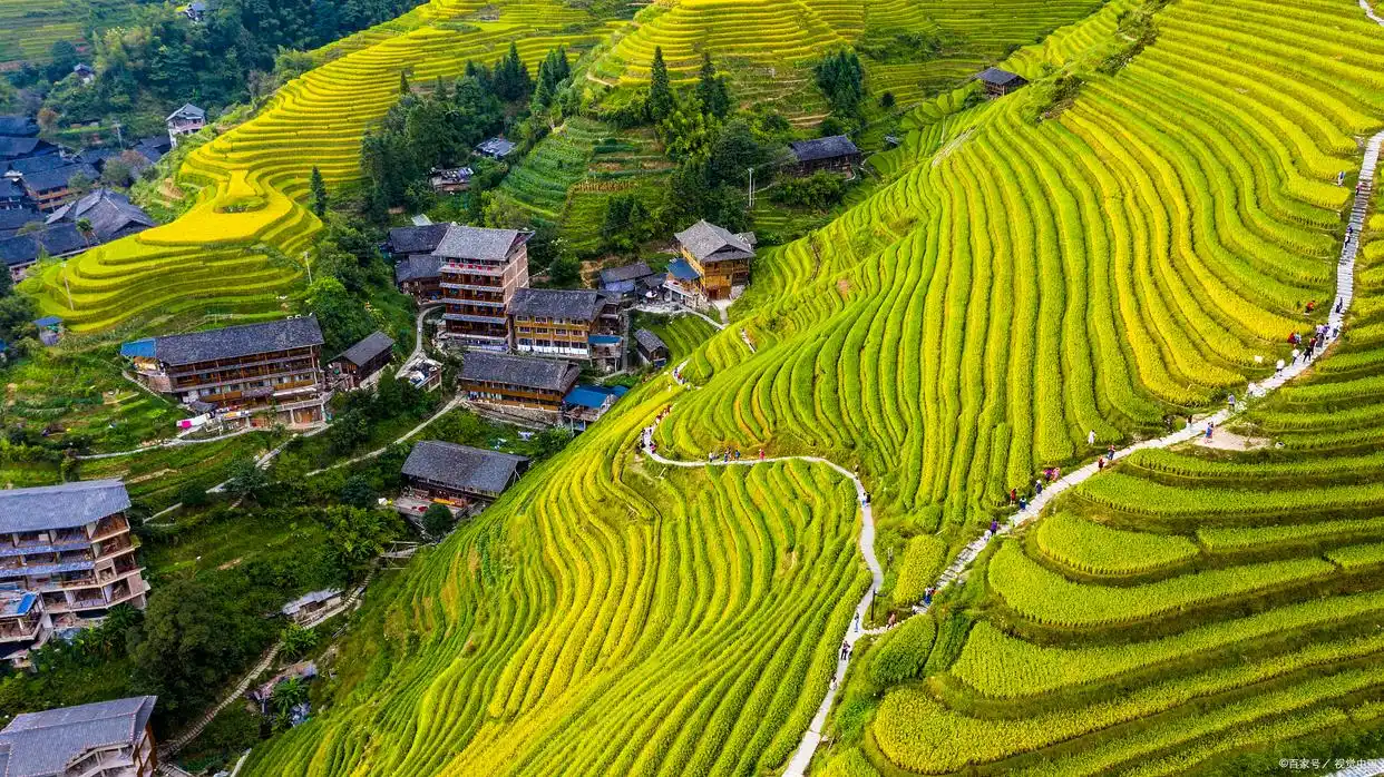 湖南不宣传这个梯田真是糊涂啊，颜值不输龙脊，去过的人赞不绝口