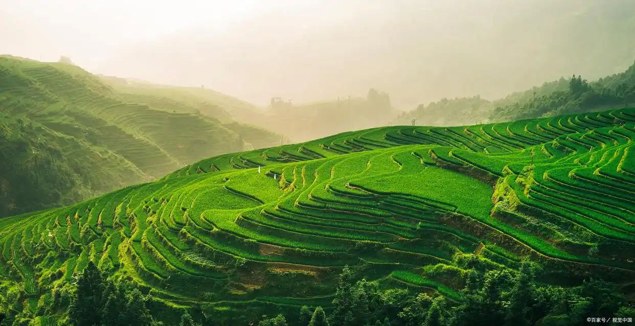 湖南不宣传这个梯田真是糊涂啊，颜值不输龙脊，去过的人赞不绝口