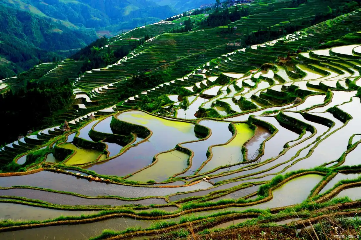 湖南不宣传这个梯田真是糊涂啊，颜值不输龙脊，去过的人赞不绝口