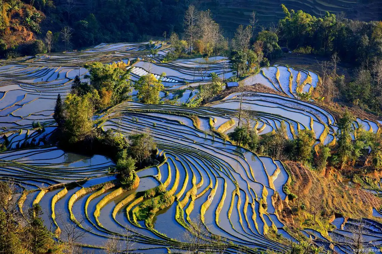 湖南不宣传这个梯田真是糊涂啊，颜值不输龙脊，去过的人赞不绝口