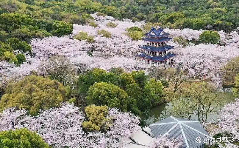 江苏十大景点，去过九处才算真正玩转江苏