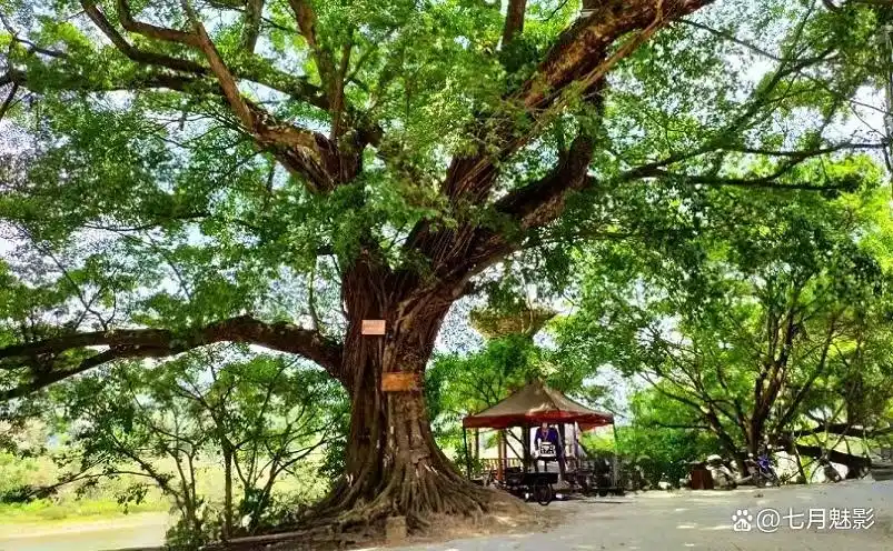 黔东南十大侗寨，你去过几个？