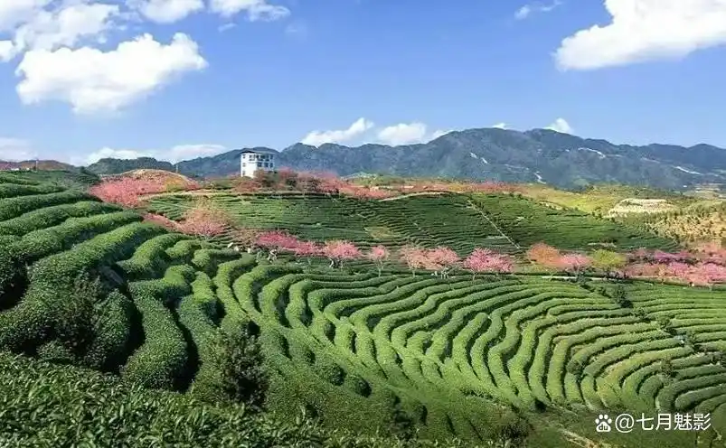 龙岩十大景点，去过九处才算真正玩转龙岩