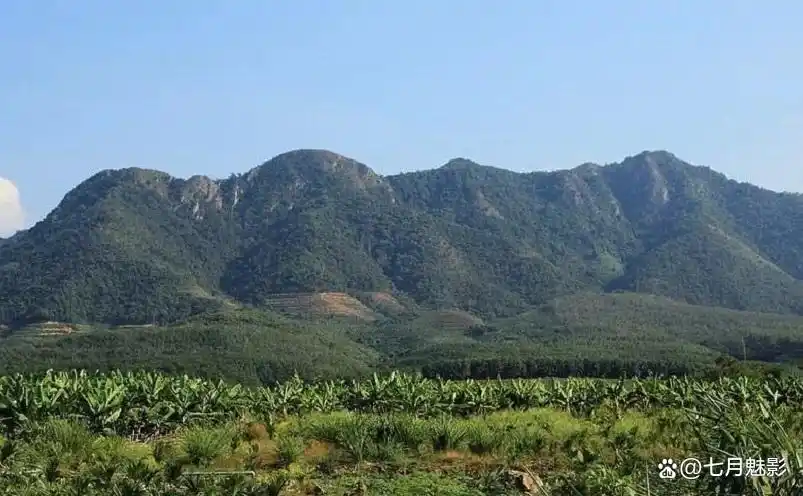 海南十大名山，你去过几个？