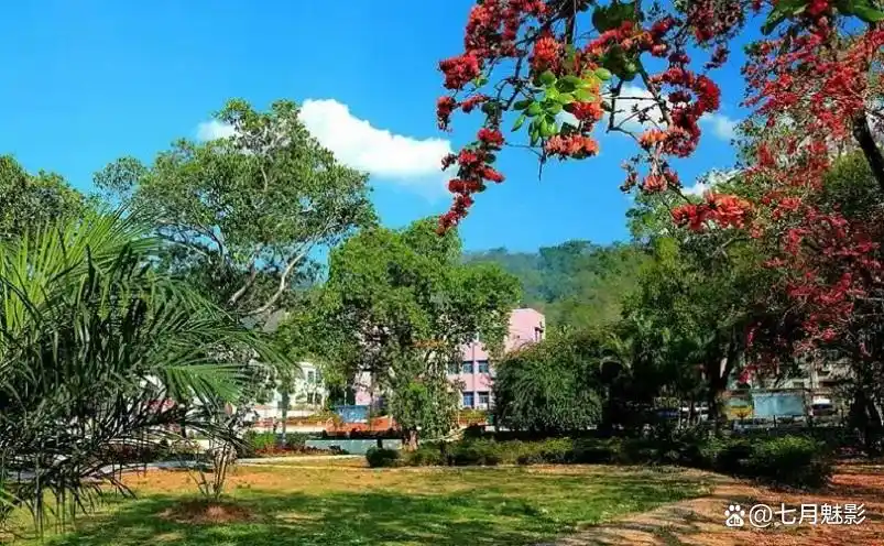 海南十大名山，你去过几个？