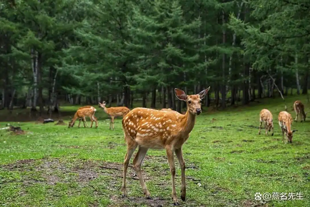 这才是8月之后最值得去的15个旅游地！将迎来中国最美早秋，人少景美！