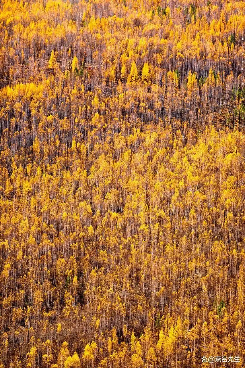 这才是8月之后最值得去的15个旅游地！将迎来中国最美早秋，人少景美！