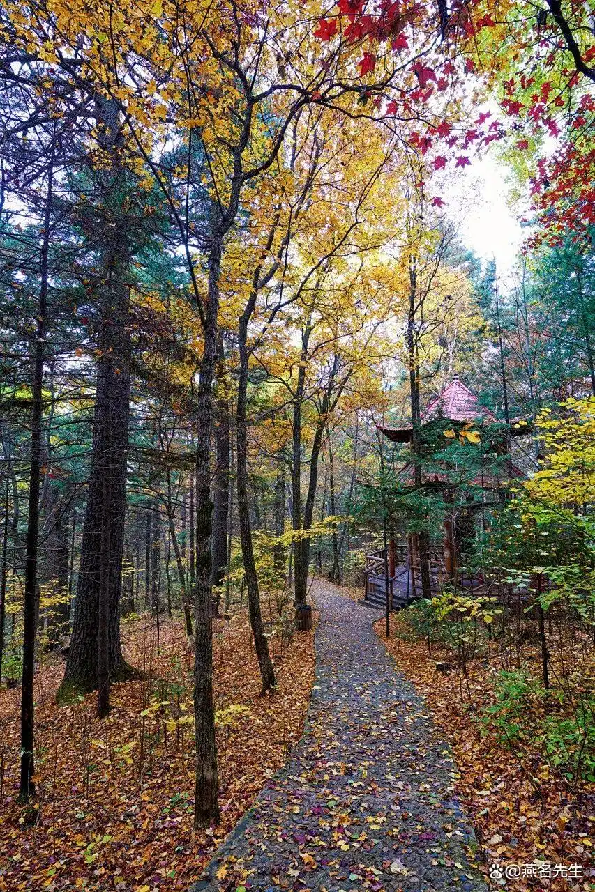 这才是8月之后最值得去的15个旅游地！将迎来中国最美早秋，人少景美！