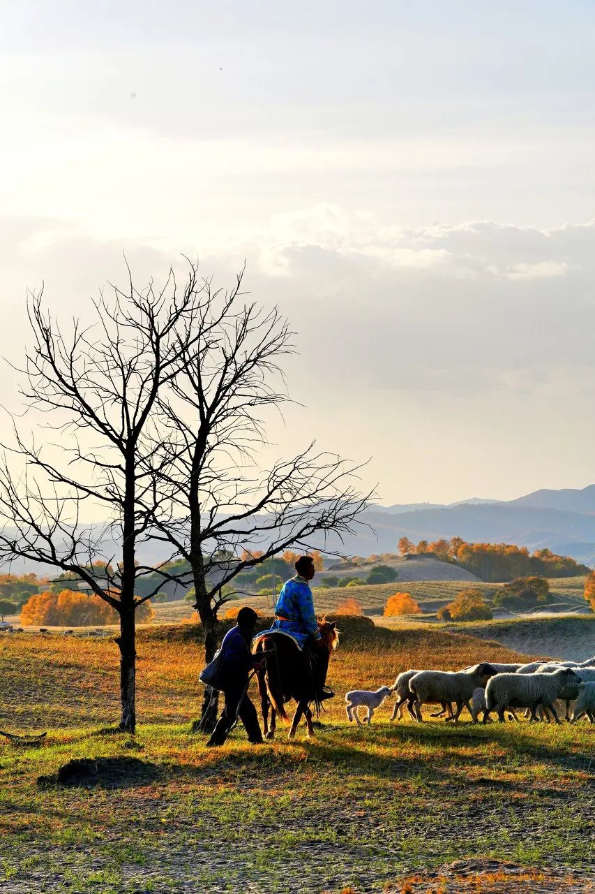 这才是8月之后最值得去的15个旅游地！将迎来中国最美早秋，人少景美！