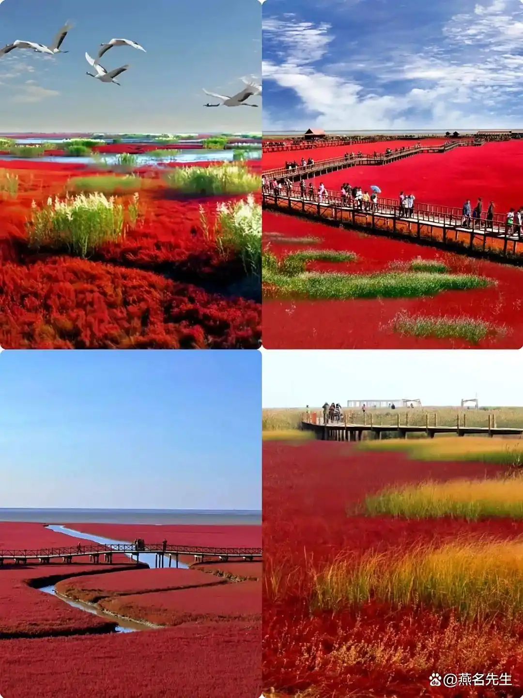 这才是8月之后最值得去的15个旅游地！将迎来中国最美早秋，人少景美！