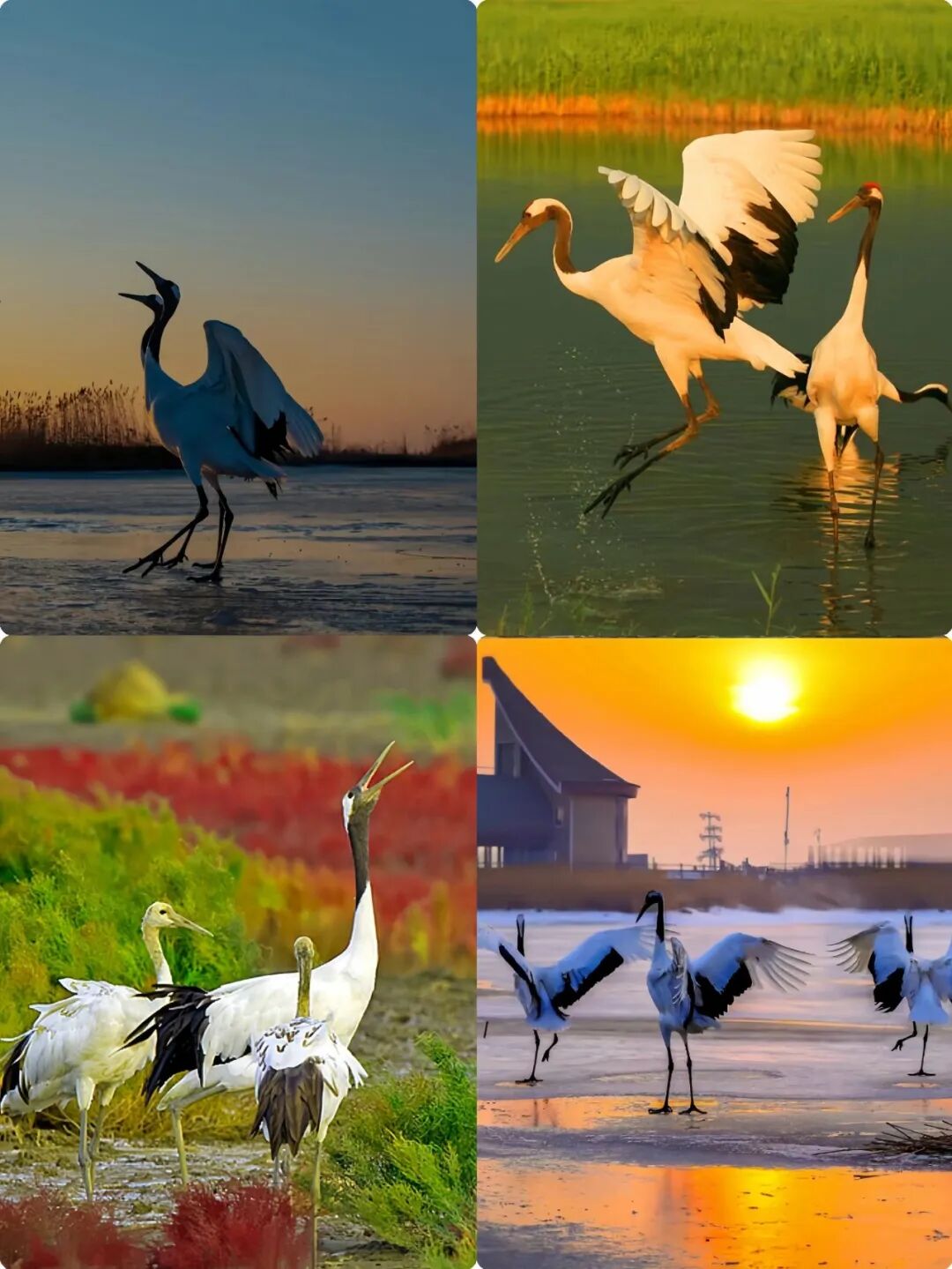 这才是8月之后最值得去的15个旅游地！将迎来中国最美早秋，人少景美！