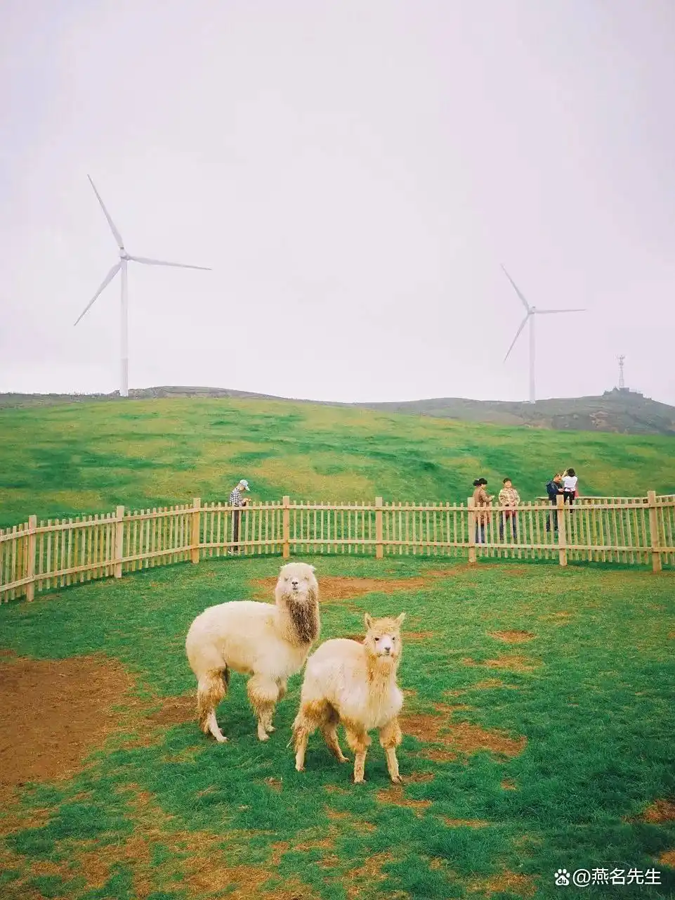 这才是8月之后最值得去的15个旅游地！将迎来中国最美早秋，人少景美！