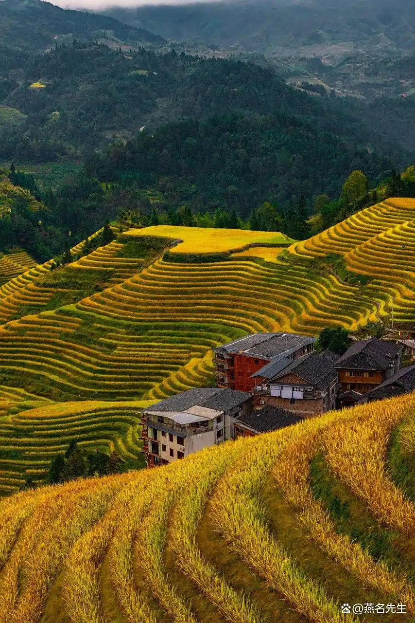 这才是8月之后最值得去的15个旅游地！将迎来中国最美早秋，人少景美！