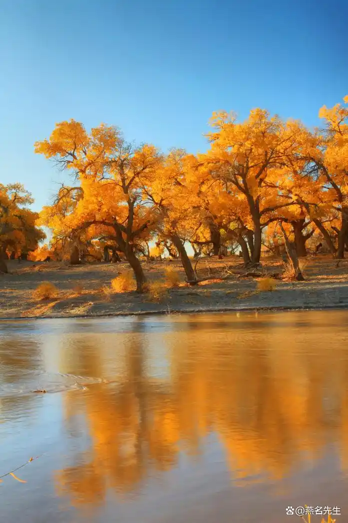 这才是8月之后最值得去的15个旅游地！将迎来中国最美早秋，人少景美！