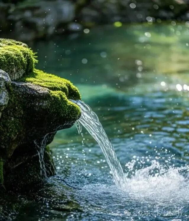 总得来一趟老舍笔下的济南