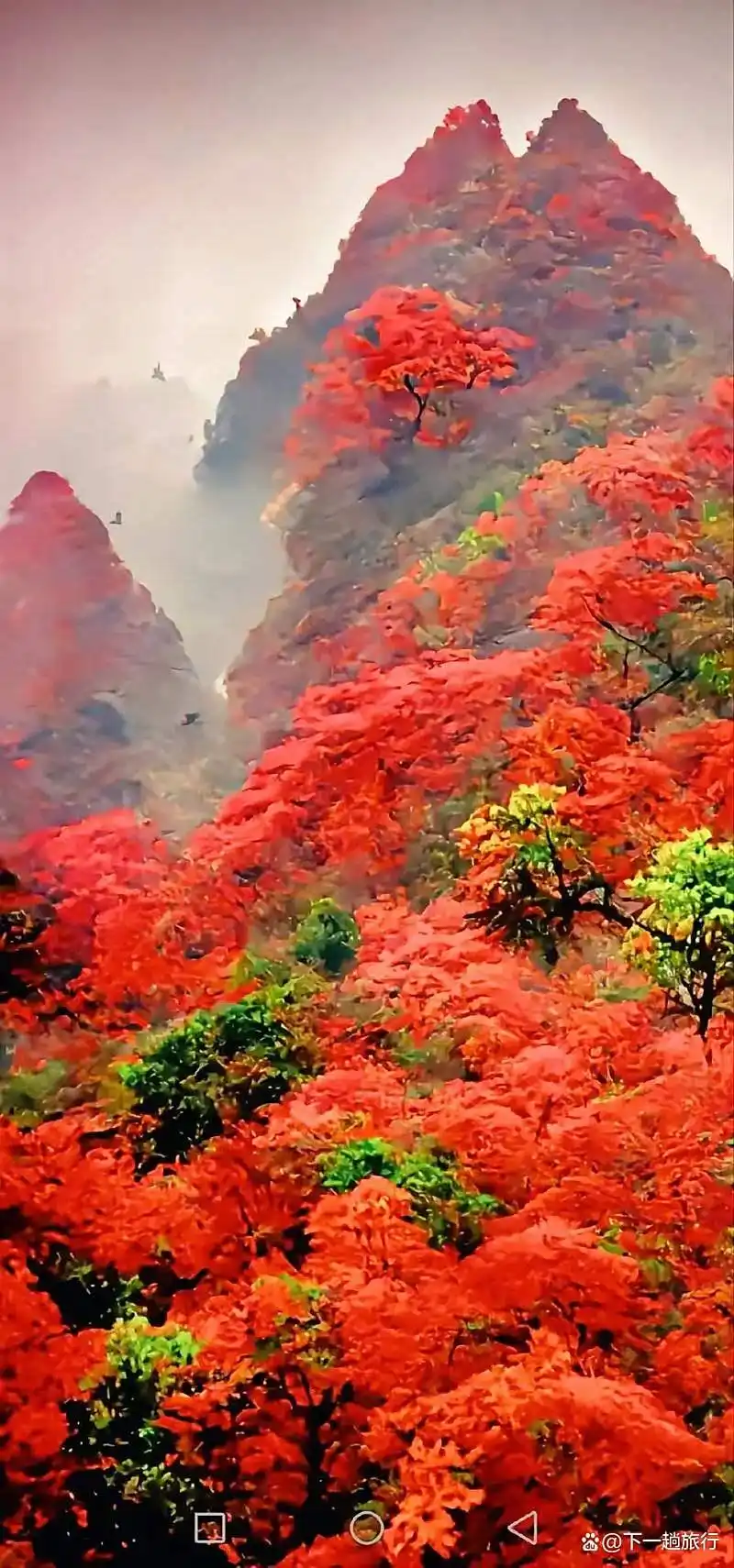 坐上绿皮车你想带上谁去旅游