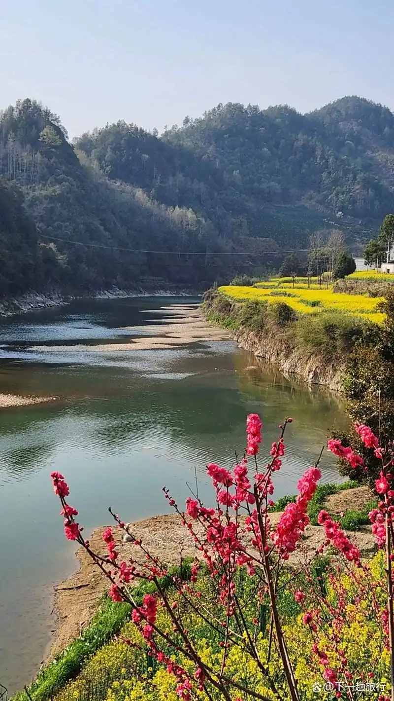 坐上绿皮车你想带上谁去旅游