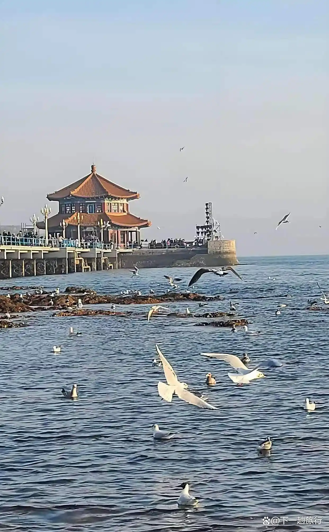 海滨城市青岛——青岛十大景点你来过几个
