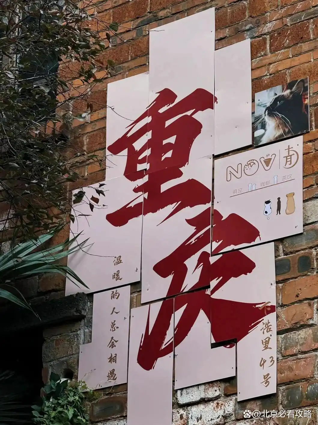 📍重庆4天3晚怎么玩？女生专属攻略 + 避坑指南，人均2k+吃遍酸辣粉/老火锅