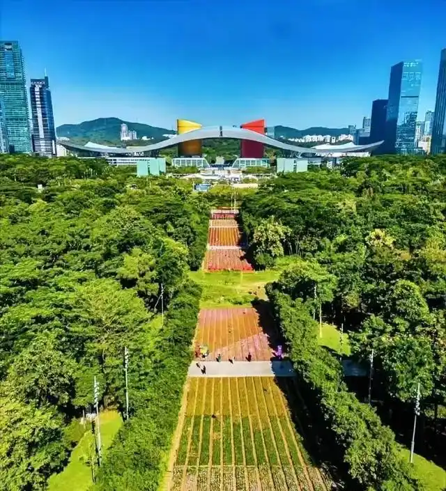 上周去了趟深圳，回来后心里一直酸溜溜的，普通人真实体验版！