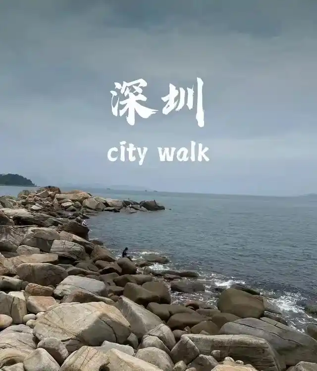 上周去了趟深圳，回来后心里一直酸溜溜的，普通人真实体验版！