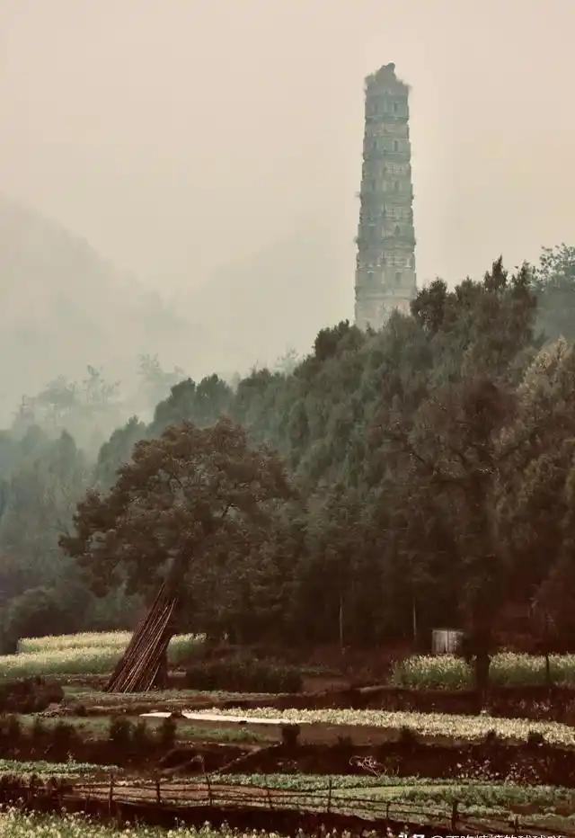 中国最有良心的寺庙，5A风景，0元门票，低调地美了1400多年！