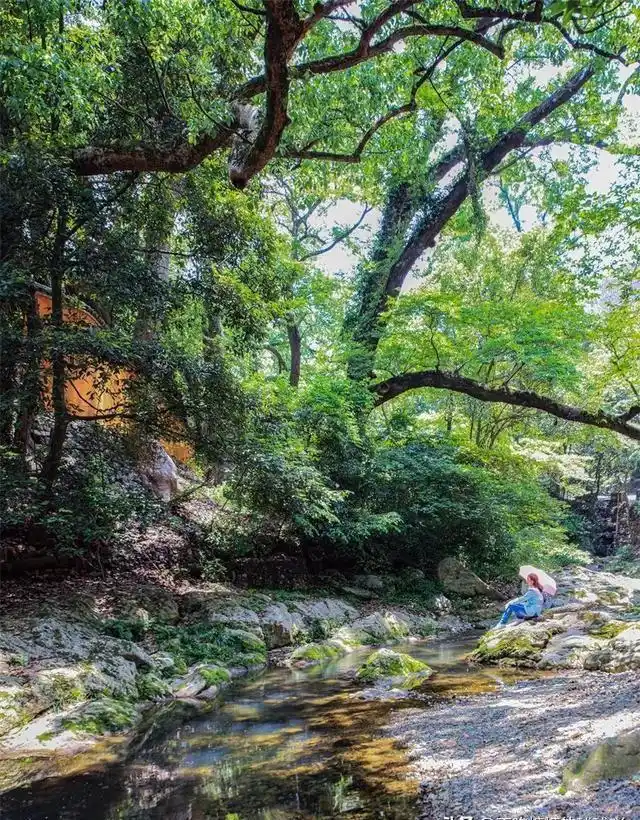 中国最有良心的寺庙，5A风景，0元门票，低调地美了1400多年！