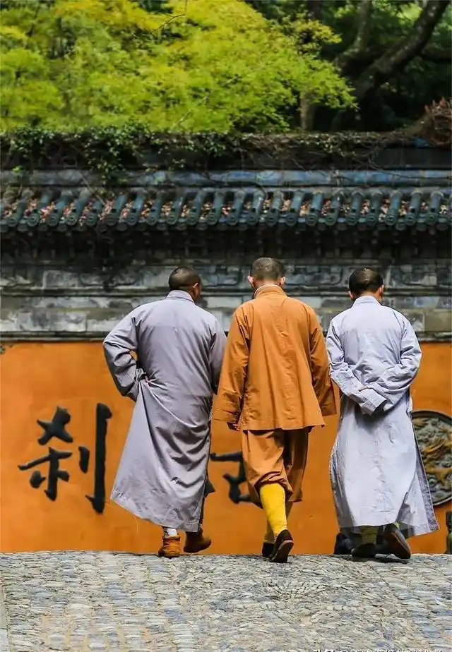 中国最有良心的寺庙，5A风景，0元门票，低调地美了1400多年！