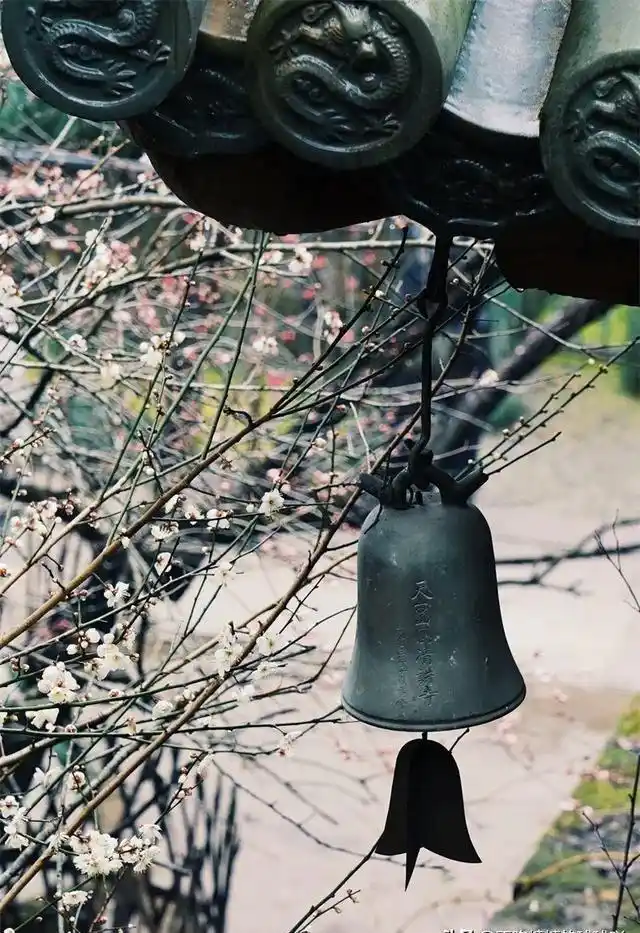 中国最有良心的寺庙，5A风景，0元门票，低调地美了1400多年！