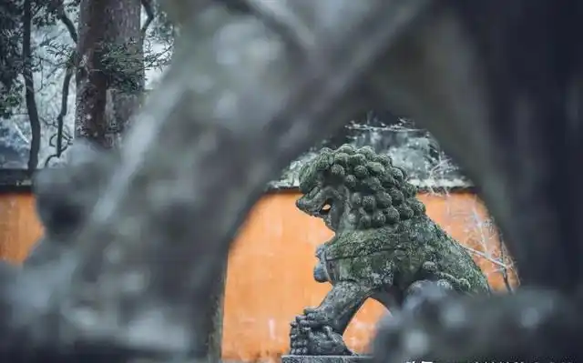 中国最有良心的寺庙，5A风景，0元门票，低调地美了1400多年！