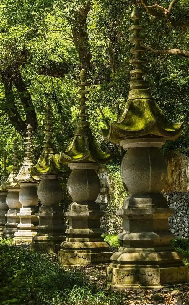 中国最有良心的寺庙，5A风景，0元门票，低调地美了1400多年！