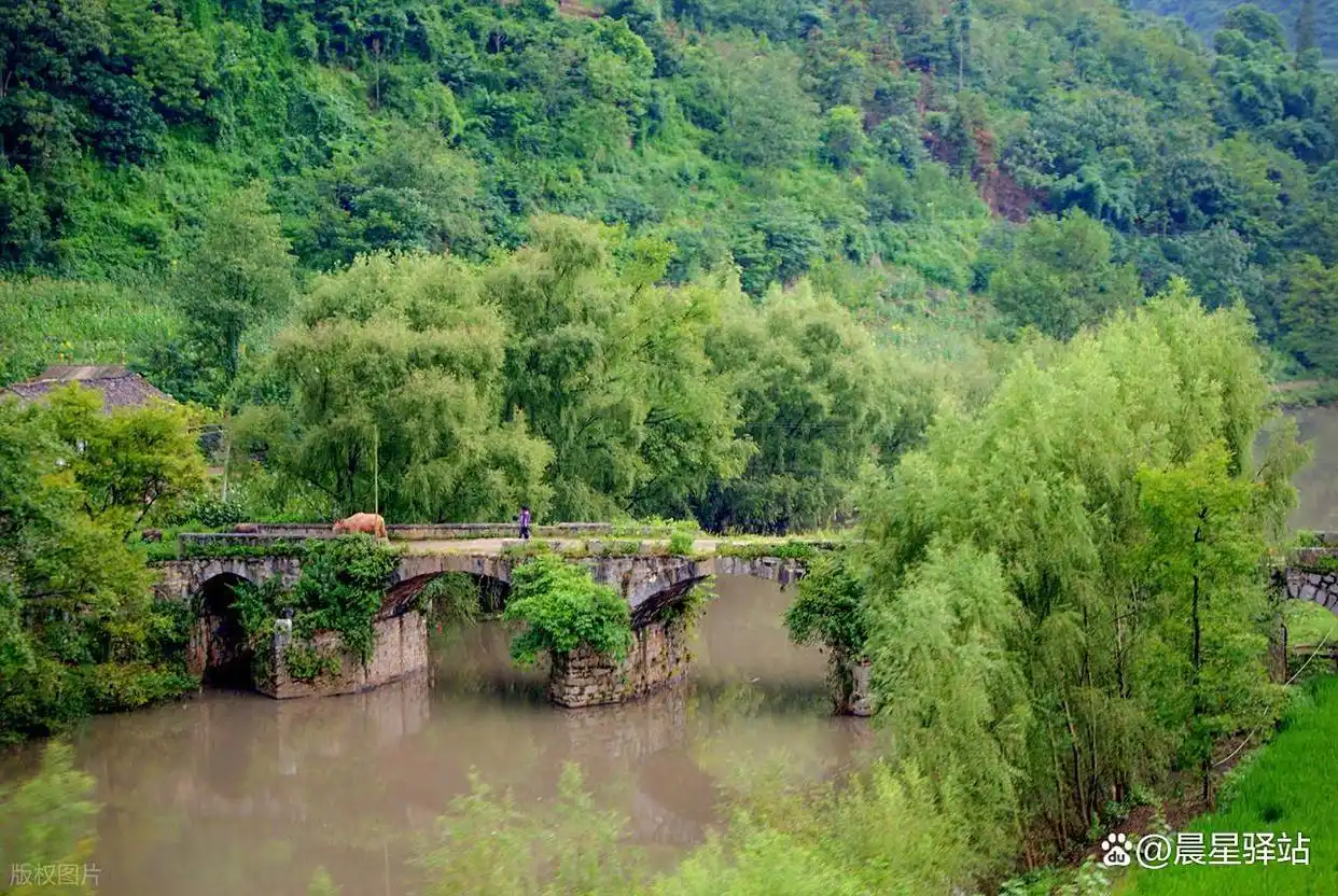 曲靖 vs 六盘水：谁才是中国第一避暑城市？——用数据与体验解码云贵高原的“凉都”之争