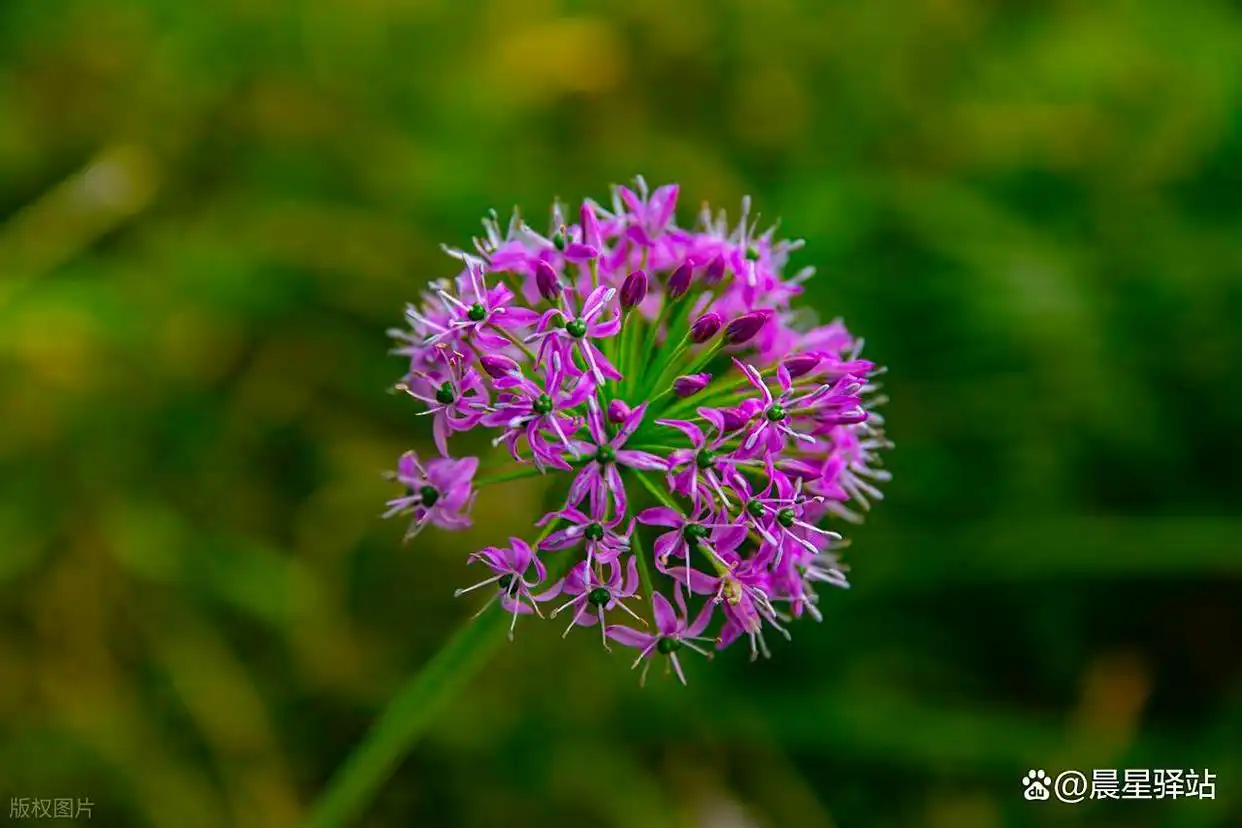 曲靖 vs 六盘水：谁才是中国第一避暑城市？——用数据与体验解码云贵高原的“凉都”之争