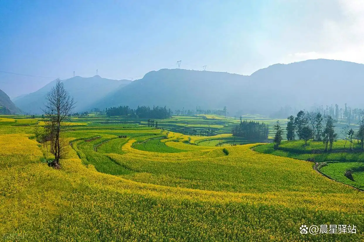 曲靖 vs 六盘水：谁才是中国第一避暑城市？——用数据与体验解码云贵高原的“凉都”之争