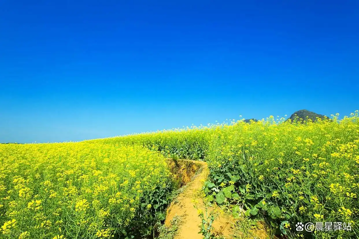 曲靖 vs 六盘水：谁才是中国第一避暑城市？——用数据与体验解码云贵高原的“凉都”之争