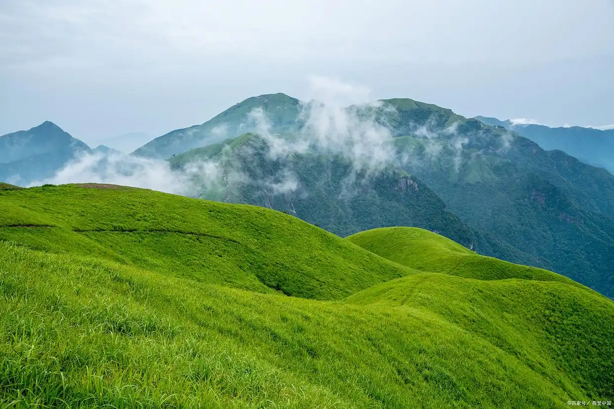 江西十大名山排名：5家跻身全国5A景区百强榜，2家自然景观TOP10