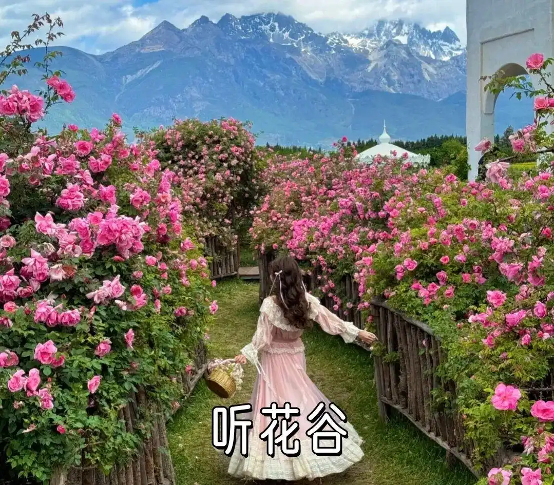 2025丽江旅游全攻略：本地人熬夜整理，8-9月必看干货！