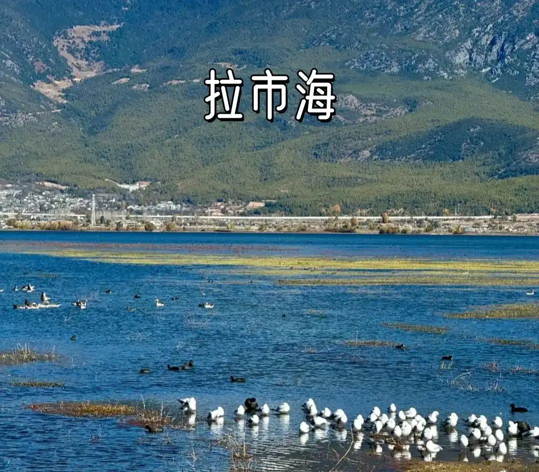 2025丽江旅游全攻略：本地人熬夜整理，8-9月必看干货！