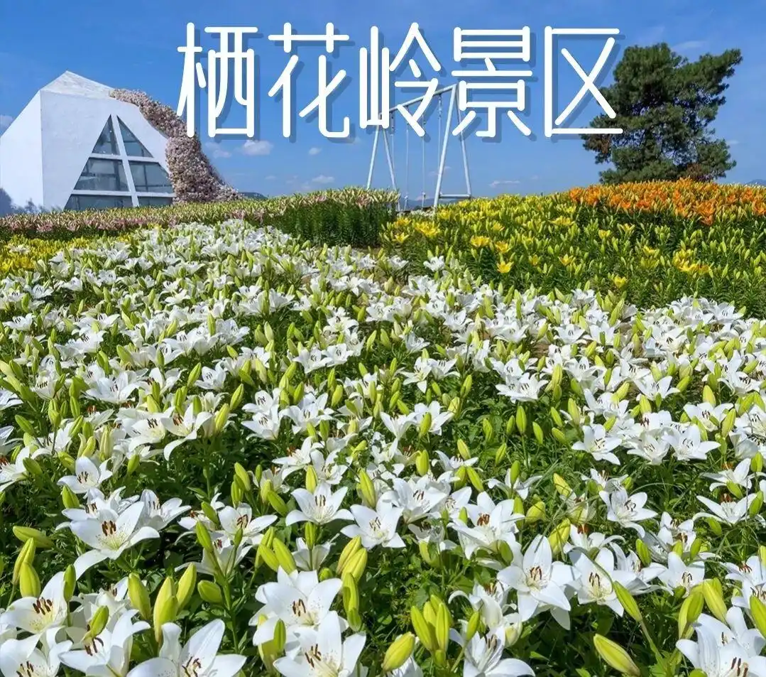 腾冲旅游全攻略：景点、美食、避雷一网打尽！